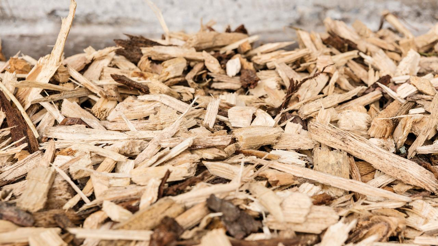 Wood Chips